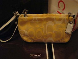 美國(guó)代購(gòu)Coach包 高性價(jià)比的時(shí)尚選擇與購(gòu)買指南